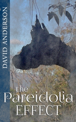The Pareidolia Effect 