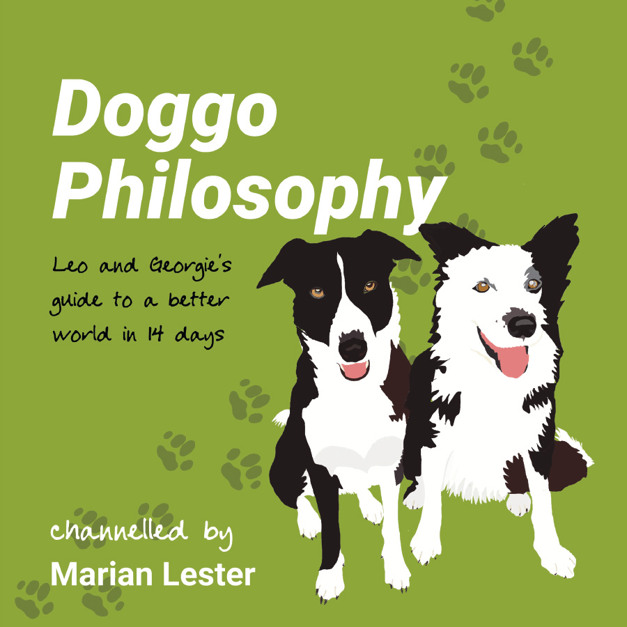Doggo Philosophy